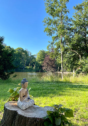 Buddha Statue auf Baumstumpf in der Natur mit Teich im Hintergrund
