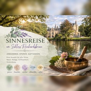 Sinnesreise quadratisch